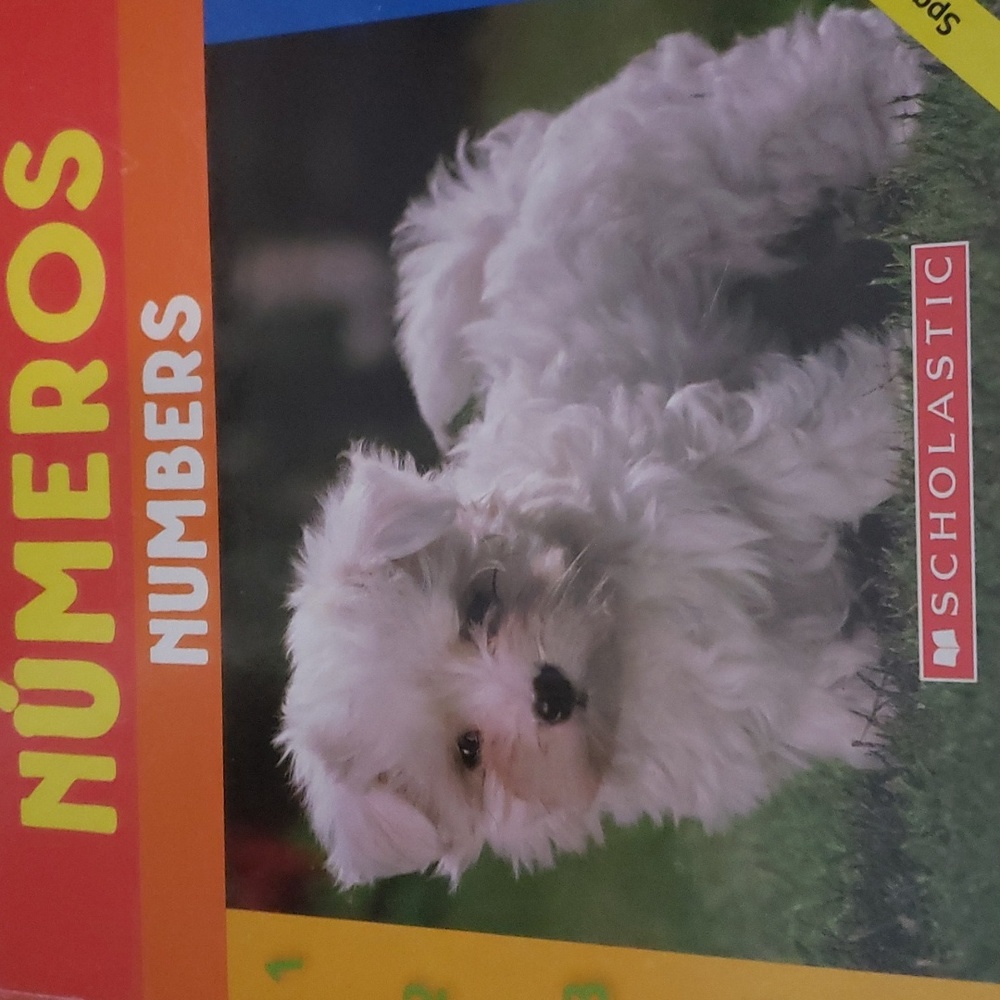 Numbers Boardbook  Spanish/English